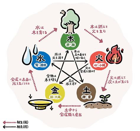 相生と相剋|五行学説とは 